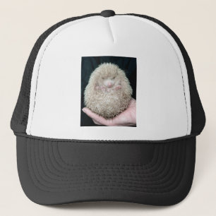 Casquette Hérisson