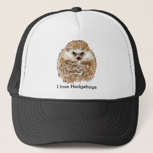 Casquette Hérisson