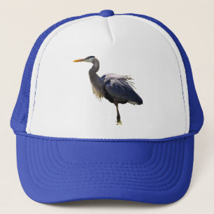 Casquette Héron de grand bleu