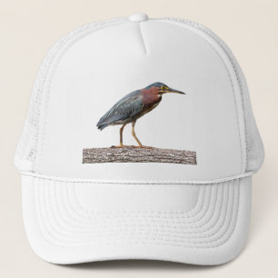 Casquette Héron vert
