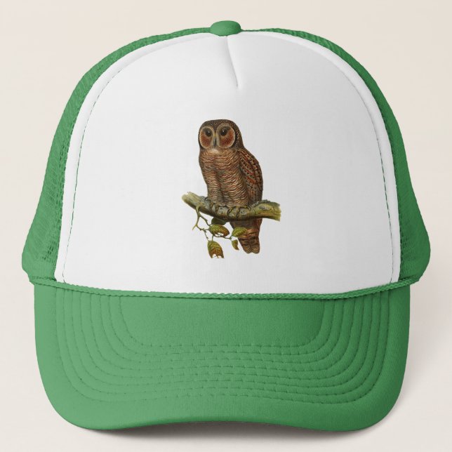 CASQUETTE HIBOU (Devant)