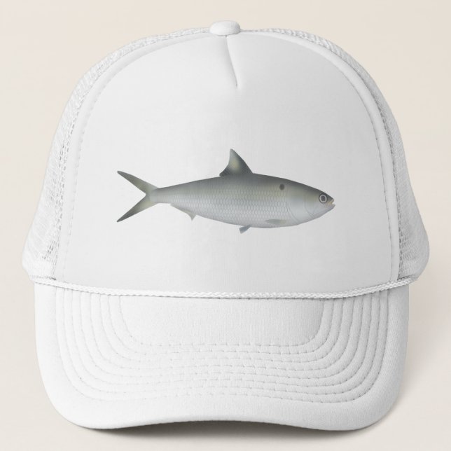 Casquette Hilsa Shad (Devant)