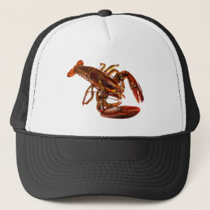 Casquette Homard