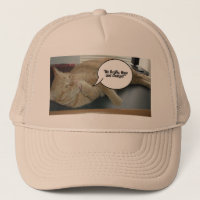 Hope and Change Orange Tabby Cat