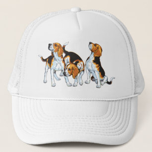 Casquette Hound beagle