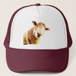 Casquette Humour animal de ferme de moutons amusant
