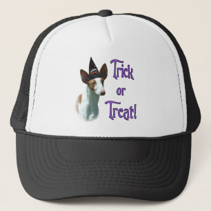 Casquette Ibizan Hound Trick