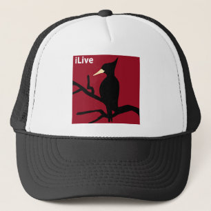 Casquette IBWO : iLive