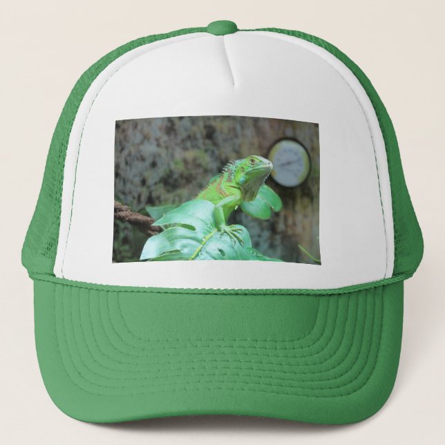 Casquette iguane vert (Devant)