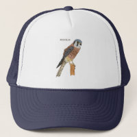 Illustration d'oiseau américain Kestrel