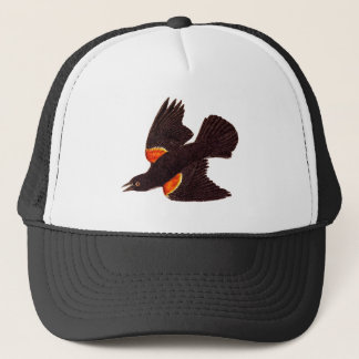 Casquette Illustration noire à ailes rouges d'oiseau de