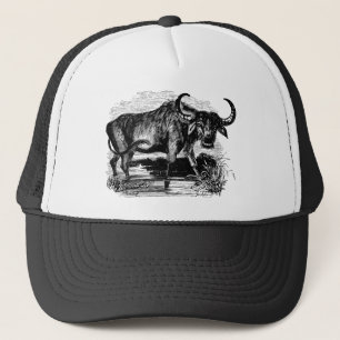 Casquette Illustration vintage de bison de Buffalo d'eau
