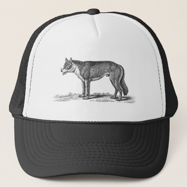 Casquette Illustration vintage de loup - modèle des loups (Devant)