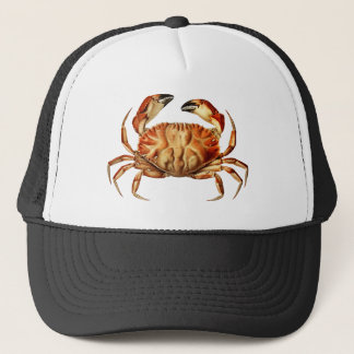 Casquette image-de-rawpixel-id-547457.png