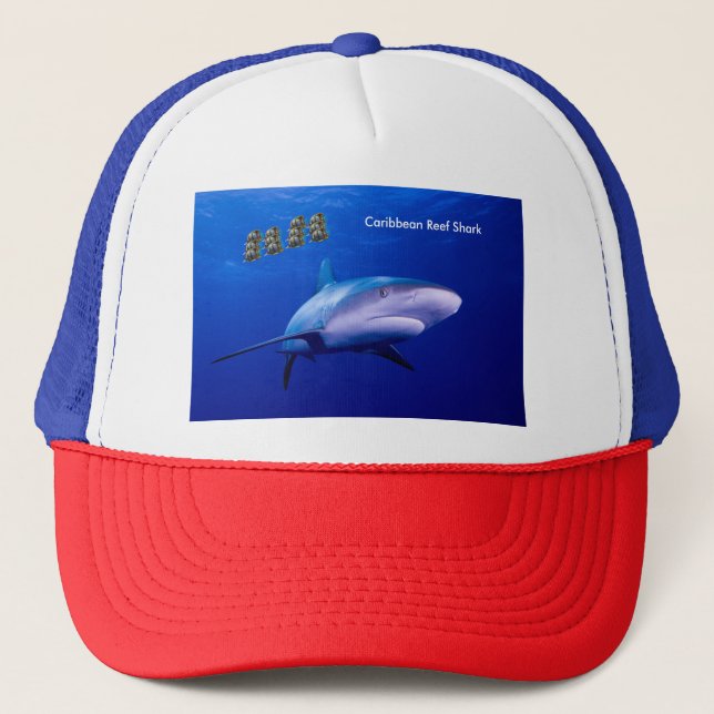 Casquette Image de requin pour Trucker-Casquette (Devant)