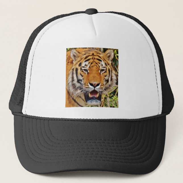 Casquette Image de tigre ! (Devant)