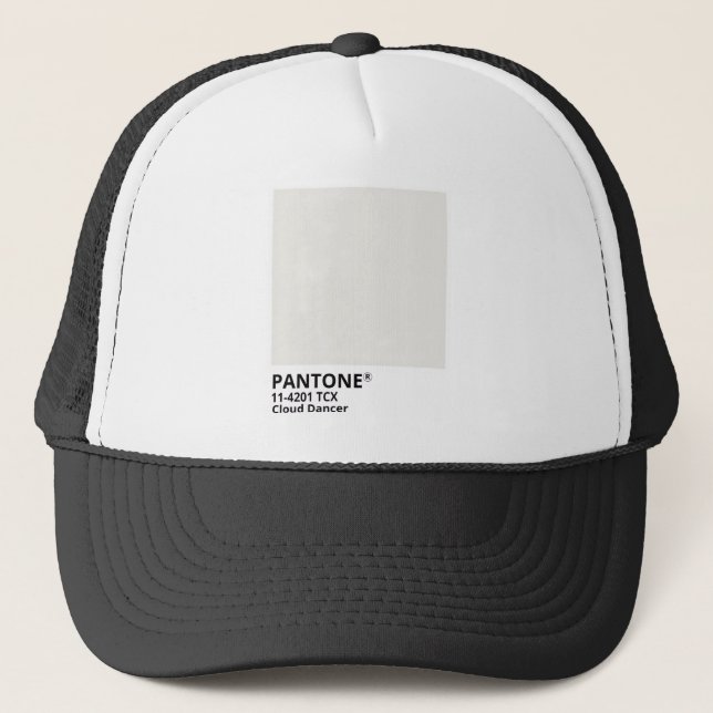 Casquette Inpiration pantone 2026 (Devant)