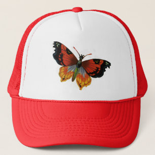 Casquette Insectes ou bugs vintage, beau papillon