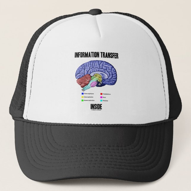 Casquette Intérieur de transfert de l'information (anatomie (Devant)