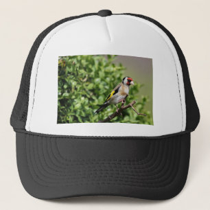 Casquette Intervalle