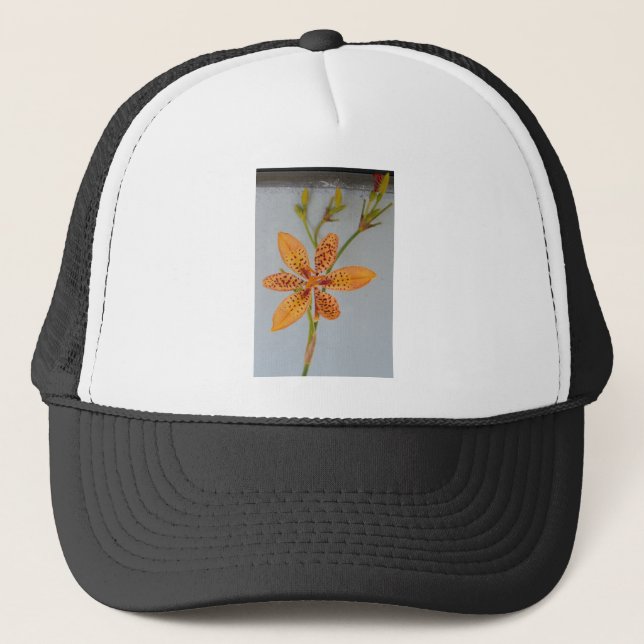 Casquette Iris tacheté orange appelé lys Blackberry (Devant)