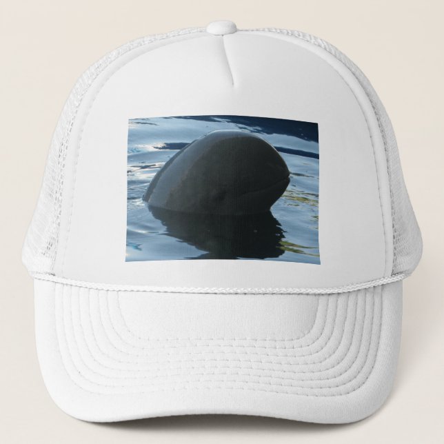 Casquette Irrawaddy Dolphin Peek-A-Boo (Devant)