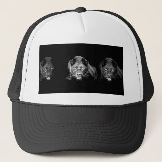 Casquette Jaguar noir et blanc - Chats sauvages
