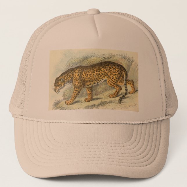 Casquette Jaguar, onca de Felis (Devant)