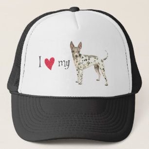 Casquette J'aime mon American Hairless Terrier
