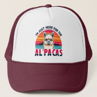 Je suis juste ici pour les amoureux de l'Alpacas d