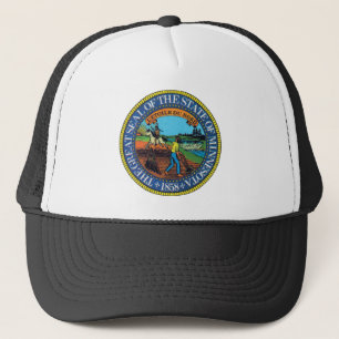 Casquette Joint d'état du Minnesota