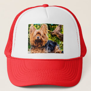 Casquette Joli Chien Animal Familier Yorkie Paix Amour Desti