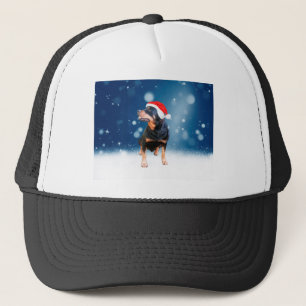 Casquette Jote Rottweiler Chien Noël Santa Hat Étoiles de ne