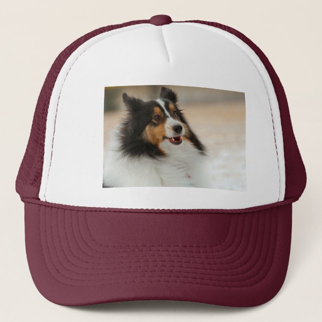 Casquette Joyeux T-shirt Shelty (Devant)