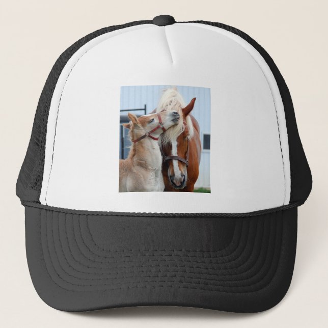 Casquette jument et pouliche belges (Devant)
