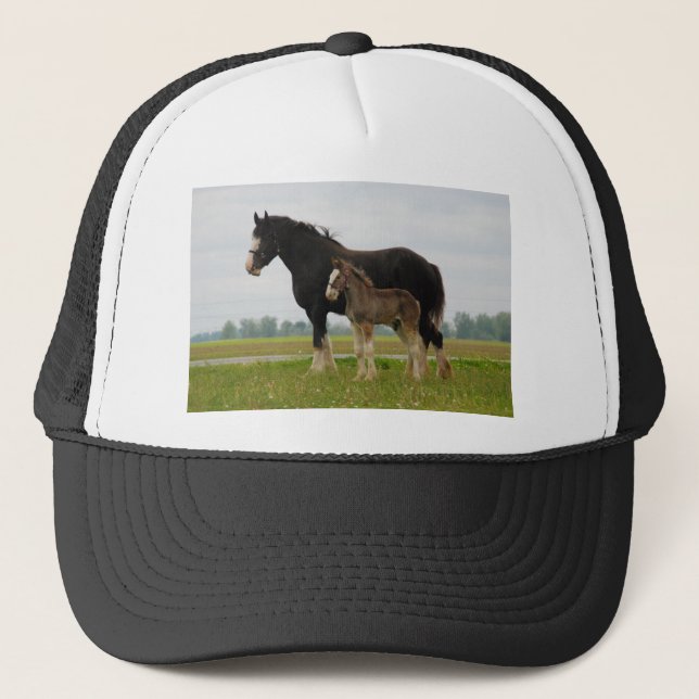 Casquette jument et pouliche de clydesdale (Devant)