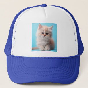 Casquette Kitten adorable avec Arrière - plan bleu
