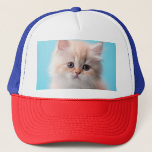Casquette Kitten adorable avec Arrière - plan bleu