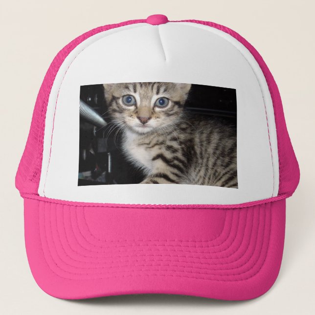 Casquette Kitten Gris Fluffé Bleu, (Devant)