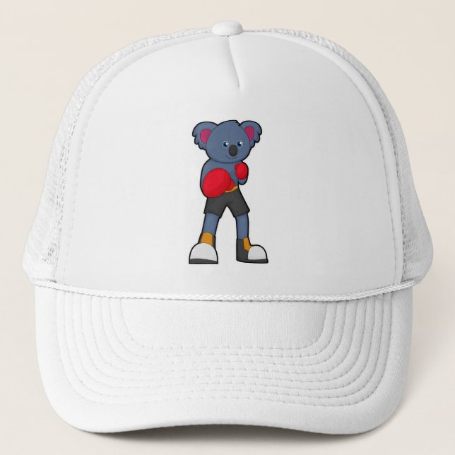 Casquette Koala à la boxe avec des gants de boxe (Devant)