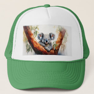 Casquette Koala assise dans un gommier