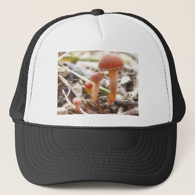 Casquette La famille de champignon (Devant)
