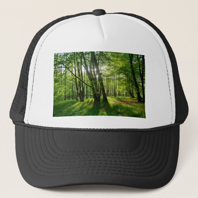 Casquette La forêt au printemps (Devant)