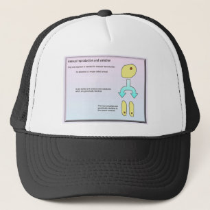 Casquette La Science, amibe