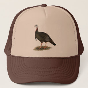 Casquette La Turquie :  Tom sauvage oriental