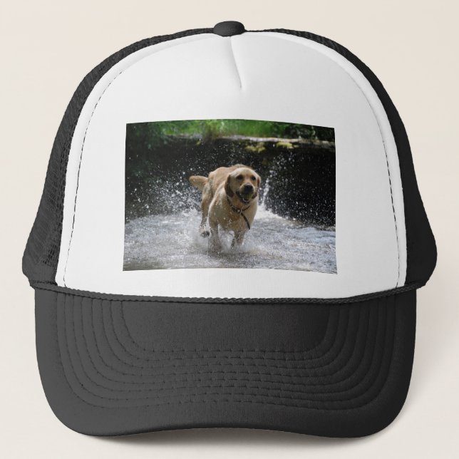 Casquette Labrador (Devant)