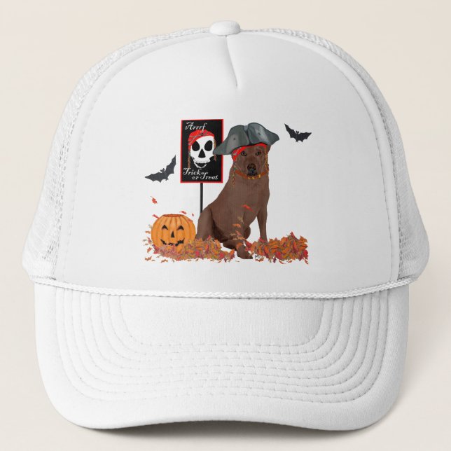 Casquette Labrador Retriever Marron Pirate (Devant)