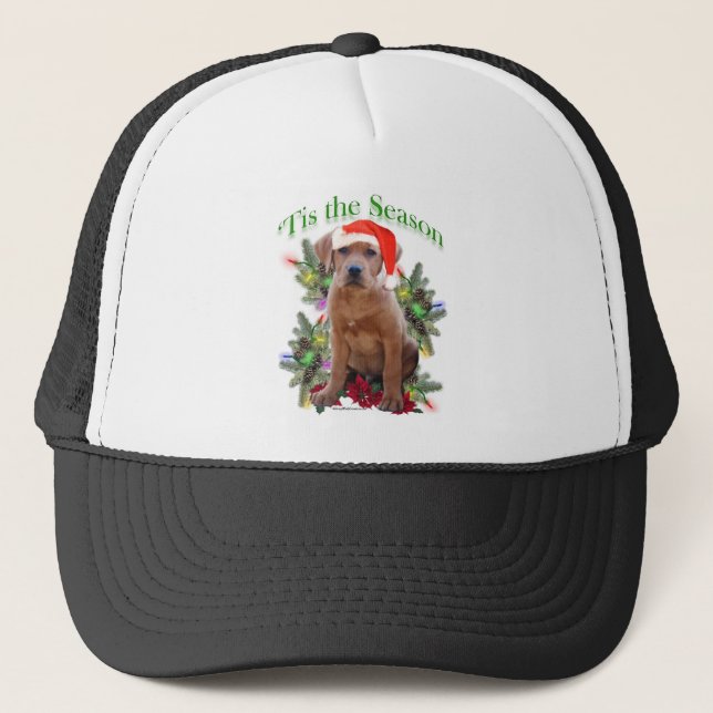 Casquette Labrador Retriever " Tis (Devant)