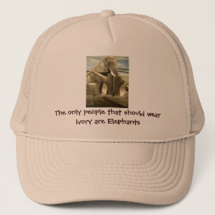 Casquette L'amour des éléphants