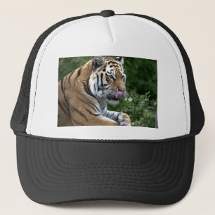 Casquette Langue du tigre